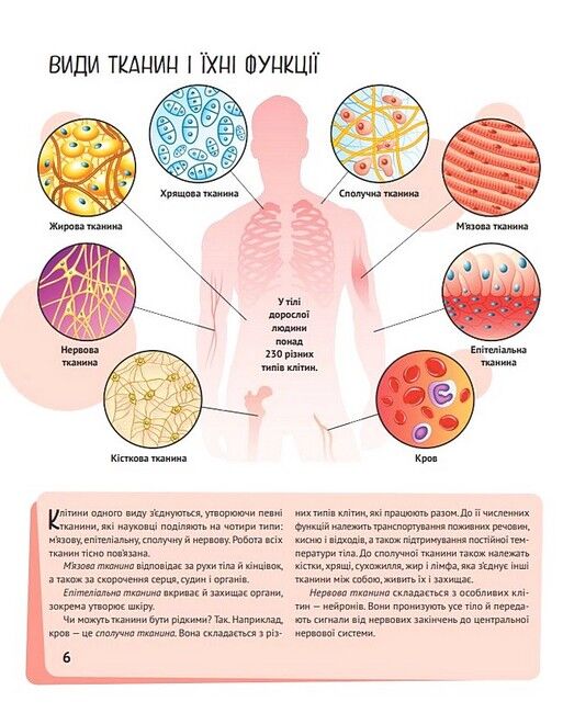 Дитяча ілюстрована енциклопедія. Тіло людини - фото 5