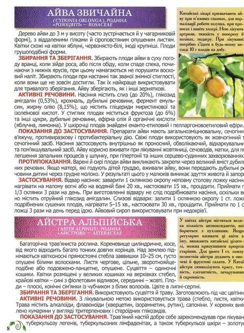 Повний атлас лікарських рослин - фото 4