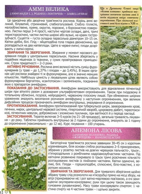 Повний атлас лікарських рослин - фото 6