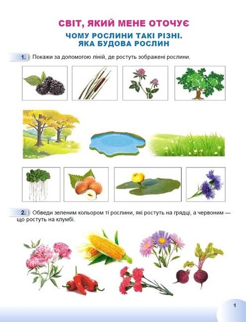 Зошит Я досліджую світ 1 клас Частина 2 НУШ Авт:  Гільберг Т. та ін. Вид-во: Генеза - фото 3
