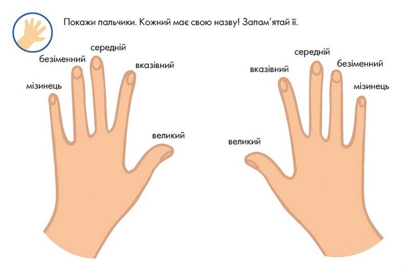 Багаторазові прописи. Тренажер для рук - фото 3