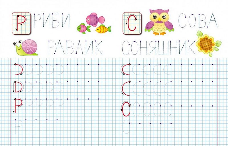 Прописи. Вчимося писати друковані літери - фото 3