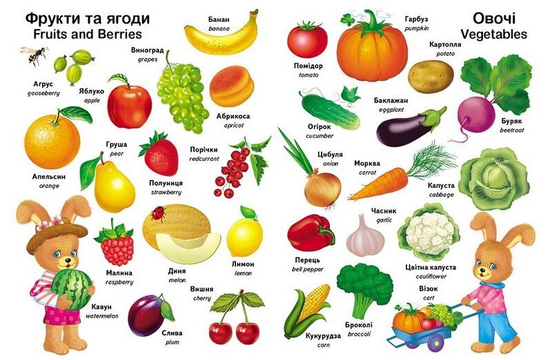 Перші слова малюка + англійська - фото 3