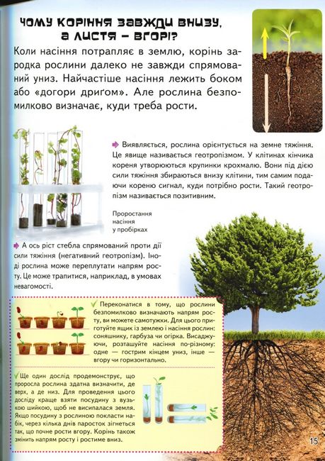 Велика дитяча енциклопедія у запитаннях і відповідях - фото 6