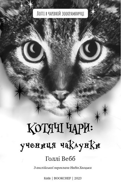 Котячі чари. Учениця чаклунки - фото 2