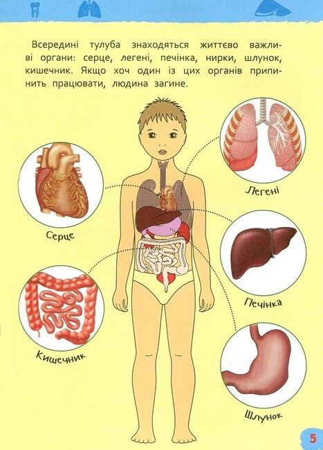 Тіло людини. Моя перша енциклопедія - фото 4