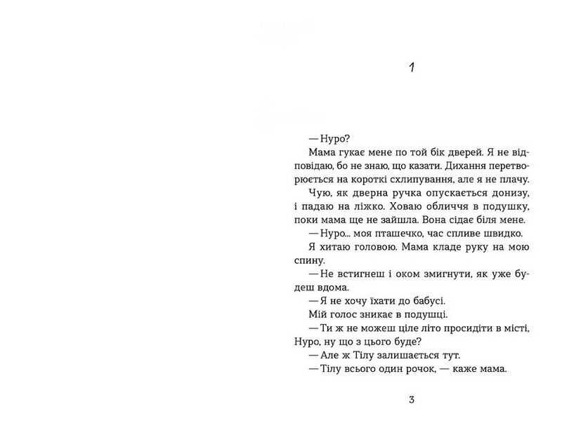 Літо, коли все трапилось - фото 2