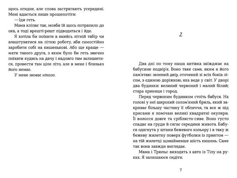 Літо, коли все трапилось - фото 4