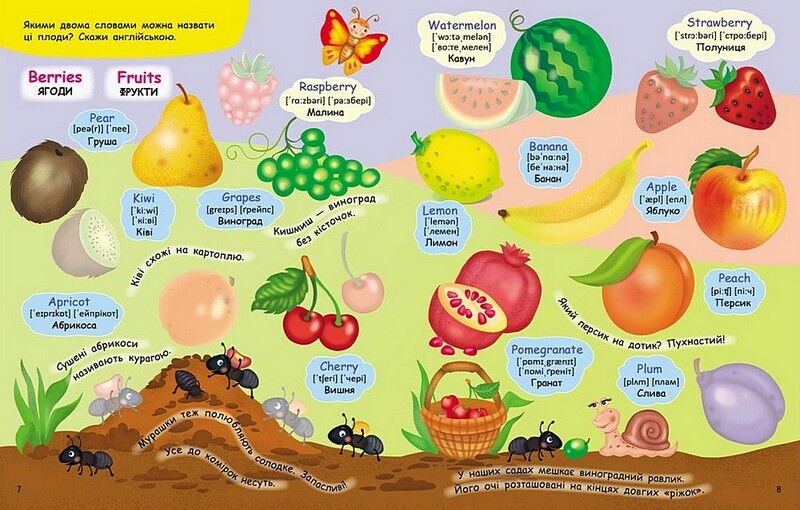 На фермі. Вчимо англійську з наліпками - фото 4