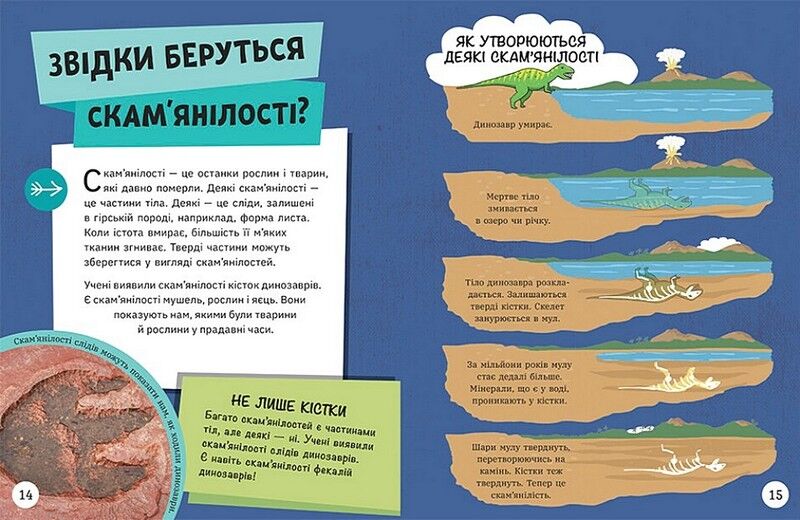 Довколапитань. Енциклопедія юних розумників - фото 2