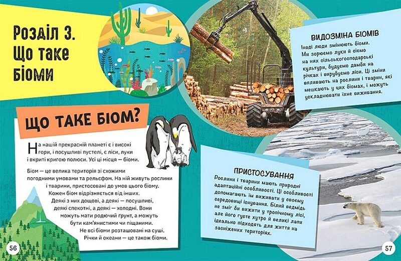 Довколапитань. Енциклопедія юних розумників - фото 6