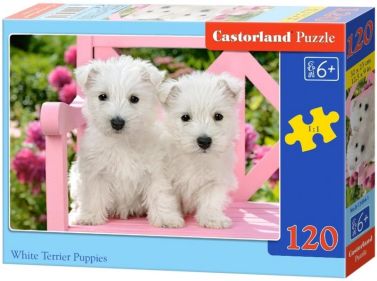 Castorland Puzzle 120 midi. White Terrier Puppies / Білі цуценята - Пазли