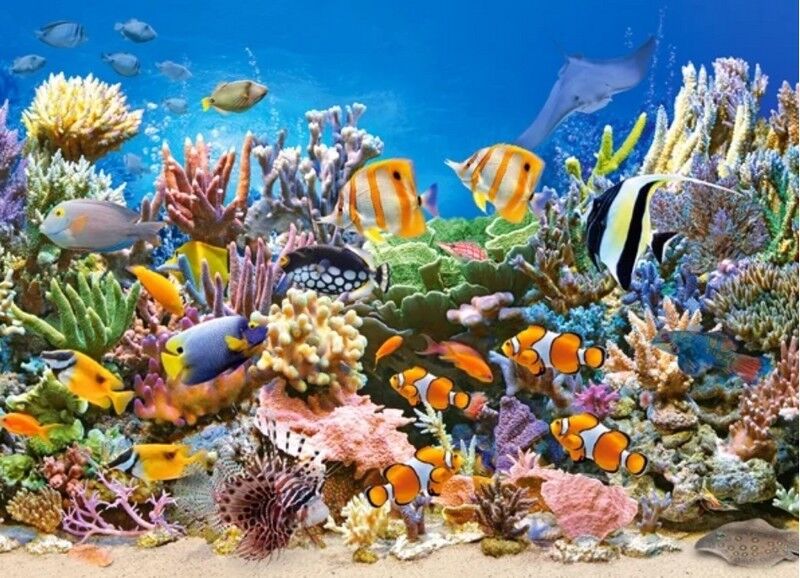 Castorland Puzzle 260. Colours of the Ocean / Підводний світ - фото 2