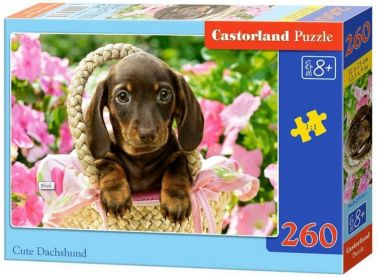 Castorland Puzzle 260. Cute Dachshund / Мила такса - Пазли