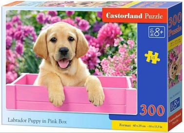 Castorland Puzzle 300. Labrador Puppy in Pink Box / Цуценя лабрадора в рожевій коробці - Пазли