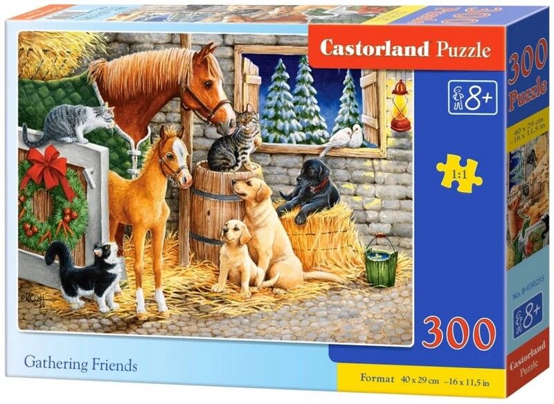 Castorland Puzzle 300. Gathering Friends / Збір друзів - фото 1