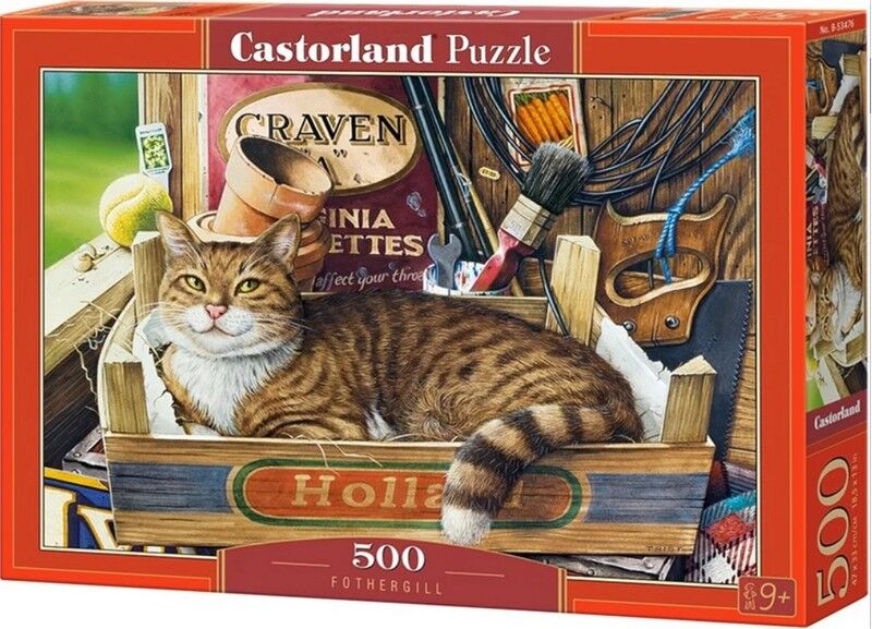 Castorland Puzzle 500. Fothergill / Фотергілл - фото 1
