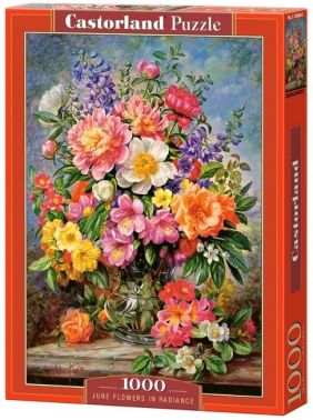 Castorland Puzzle 1000. June Flowers in Radiance / Червневі квіти - Пазли