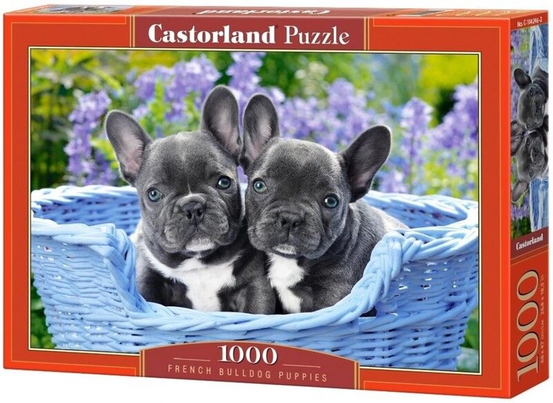 Castorland Puzzle 1000. French Bulldog Puppies / Цуценята французького бульдога - фото 1
