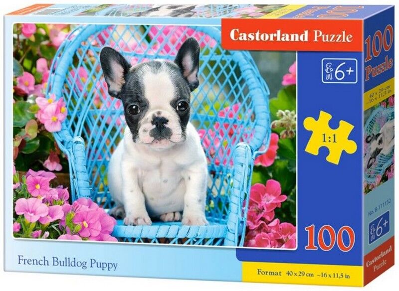 Castorland Puzzle 100. French Bulldog Puppy / Цуценя французького бульдога у кріслі - фото 1