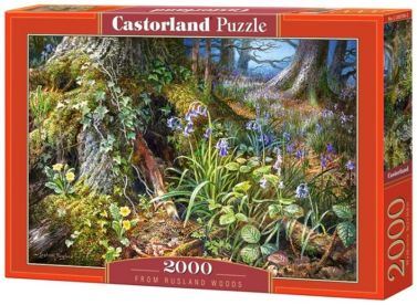 Castorland Puzzle 2000. From Rusland Woods / У лісі - Пазли