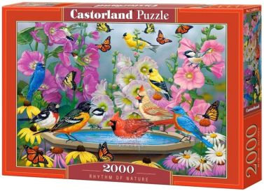 Castorland Puzzle 2000. Rhythm of Nature / Ритм природи