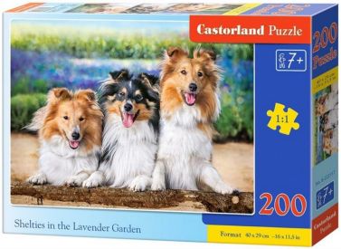 Castorland Puzzle 200. Shelties in the Lavender Garden / Шелті в лавандовому саду