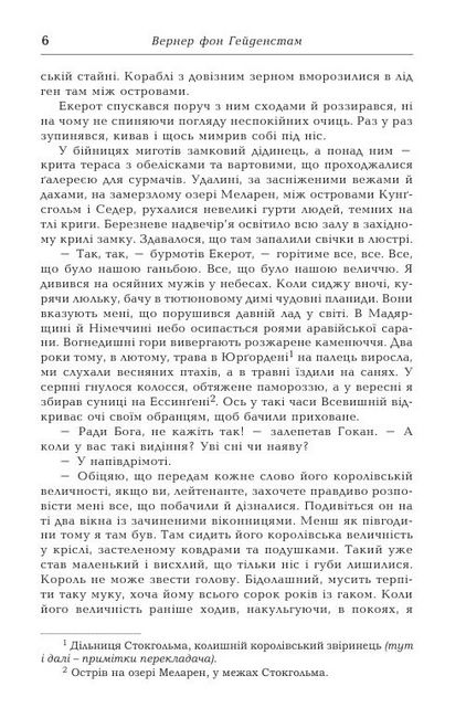 Воїни Карла ХІІ - фото 3
