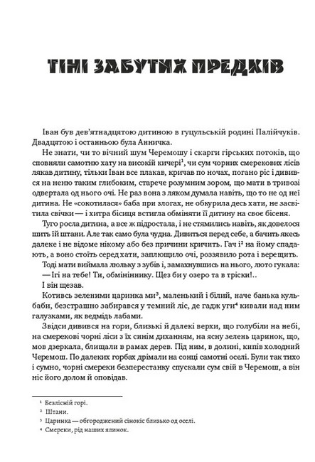 Михайло Коцюбинський. Вибрані твори. Тіні забутих предків. Дорогою ціною. Fata Morgana. Intermezzo - фото 2