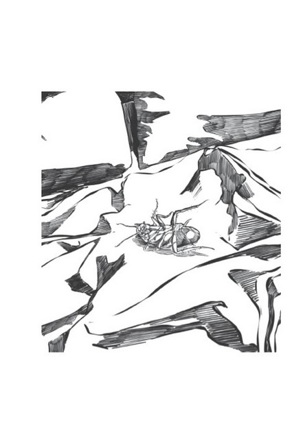 Превращение (иллюстрированое издание) - фото 4