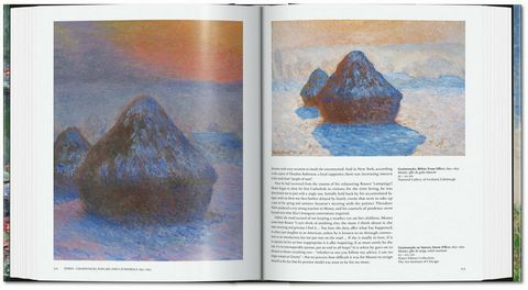 Monet. The Triumph of Impressionism - фото 5