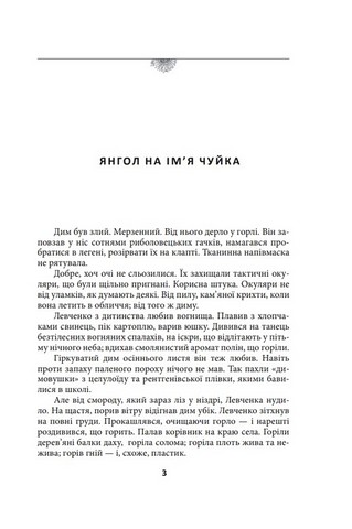 Встань і йди - фото 2