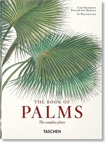 Martius. The Book of Palms. 40th Ed. - фото 1