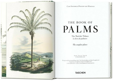 Martius. The Book of Palms. 40th Ed. - фото 2