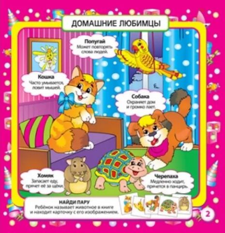 Играем с животными. 36 карточек - фото 2