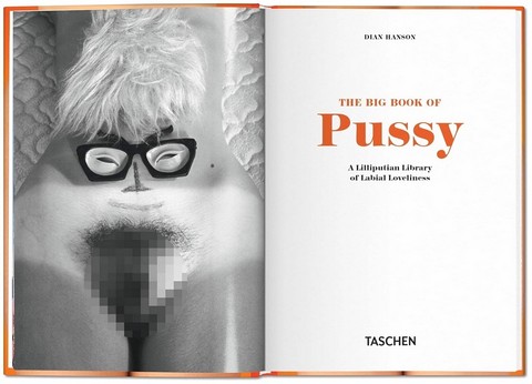 The Little Big Book of Pussy - фото 2