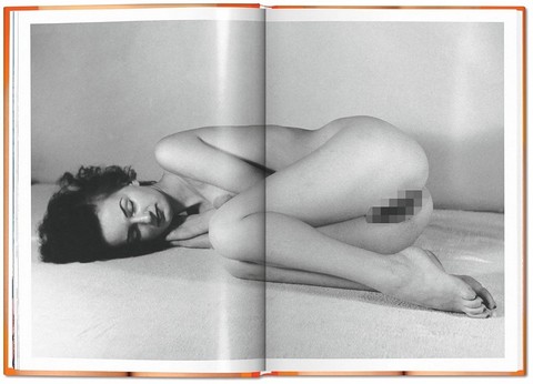 The Little Big Book of Pussy - фото 3