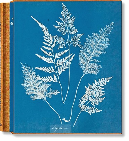 Anna Atkins. Cyanotypes - фото 1