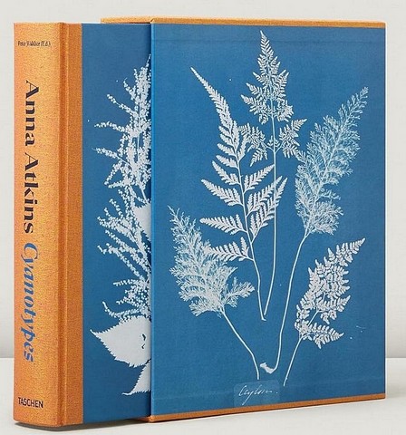 Anna Atkins. Cyanotypes - фото 2