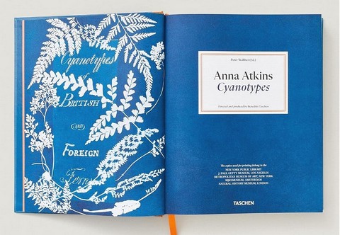 Anna Atkins. Cyanotypes - фото 5