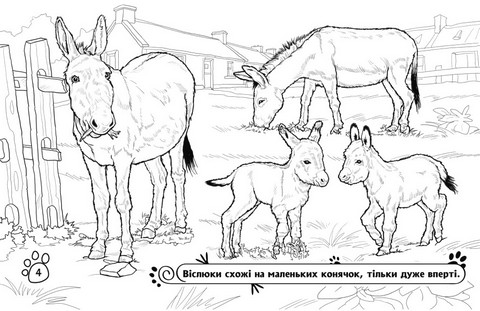 Тварини на фермі. Розмальовка - фото 4