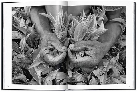 Sebastiao Salgado. Workers. An Archaeology of the Industrial Age - фото 3