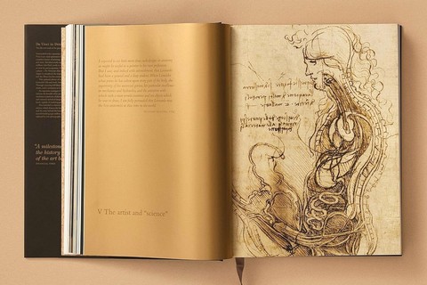 Leonardo. The Complete Paintings and Drawings - фото 4