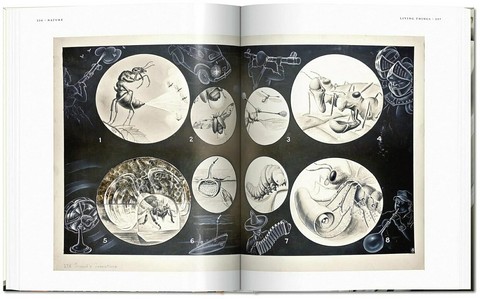 Fritz Kahn. Infographics Pioneer - фото 6