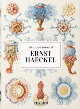 Haeckel