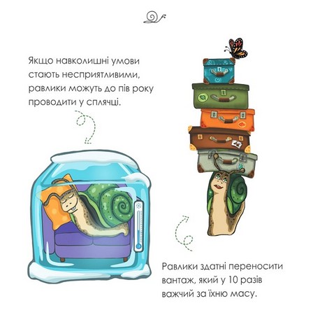 Равлик Павлик - фото 7