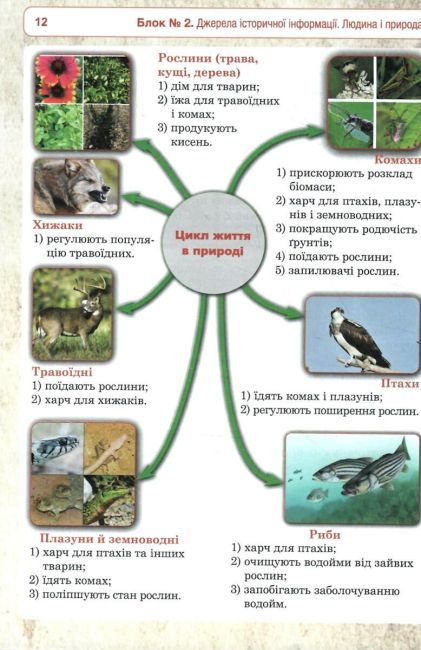 Робочий зошит Вступ до історії України та громадянської освіти 5 клас НУШ Авт: Р.В. Умєров Вид-во: Богдан - фото 9