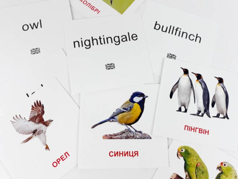 Дидактичний матеріал Картки міні Птахи / Birds (110х110 мм) Зірка - фото 3