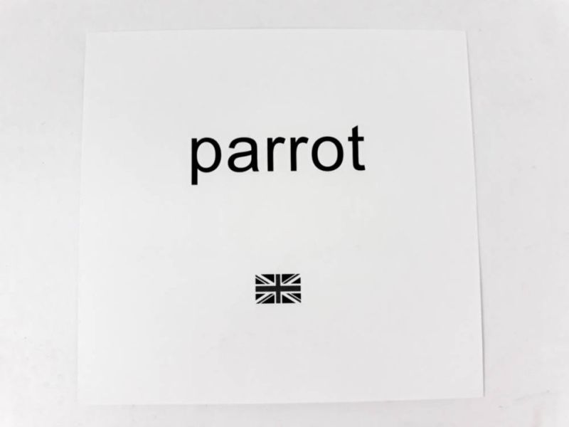 Дидактичний матеріал Картки міні Птахи / Birds (110х110 мм) Зірка - фото 5