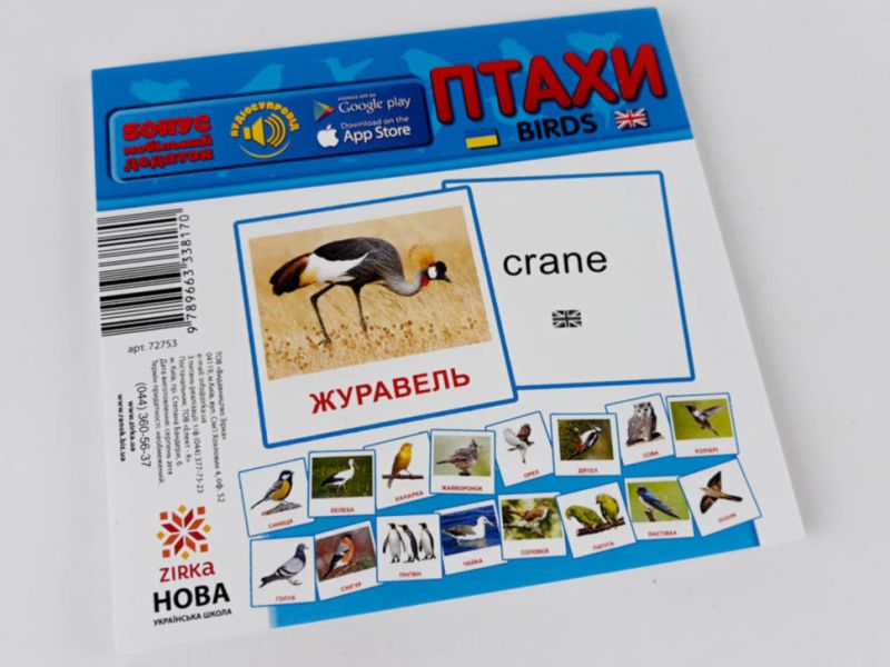 Дидактичний матеріал Картки міні Птахи / Birds (110х110 мм) Зірка - фото 6